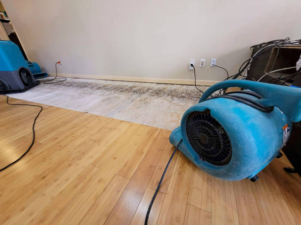 Reliable Structural Drying And Dehumidification contractor in Columbus, NJ by Hirex Water Damage