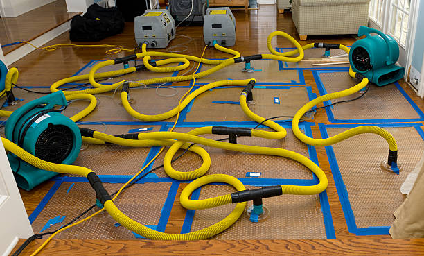 Professional Structural Drying And Dehumidification technician working in Columbus, NJ